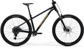 Merida Big Trail 300 - MY26